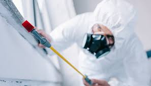 Best Pest Prevention Services  in Miami Beach, FL